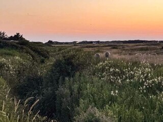 Casa per le vacanze Løkken  28