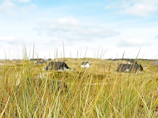 Vakantiehuis Klegod  14