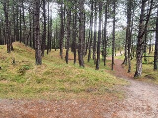 Casa de vacaciones Rømø  28