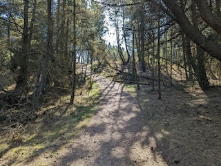 Casa de vacaciones Rømø  5