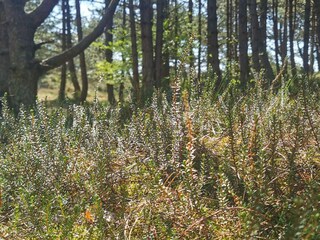 Casa de vacaciones Rømø  21