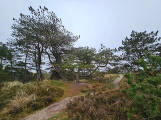 Casa de vacaciones Rømø  25