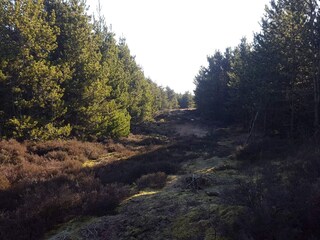 Casa de vacaciones Rømø  32