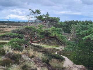 Casa de vacaciones Rømø  6