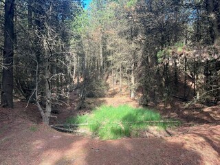 Casa per le vacanze Rømø  27