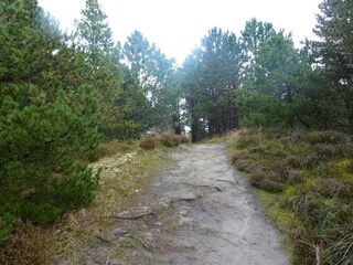 Vakantiehuis Rømø  23