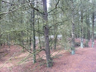 Casa de vacaciones Rømø  34