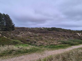 Casa de vacaciones Rømø  16