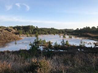 Vakantiehuis Rømø  28