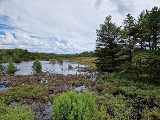 Maison de vacances Rømø  29