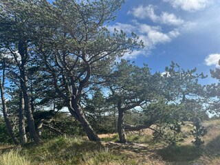 Casa per le vacanze Rømø  35