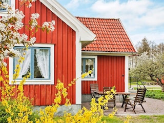 Ferienhaus Söderåkra Außenaufnahme 3
