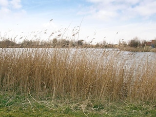 Casa per le vacanze Otterndorf  14