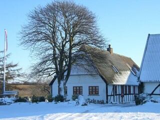 Gästehaus Fåborg Außenaufnahme 3
