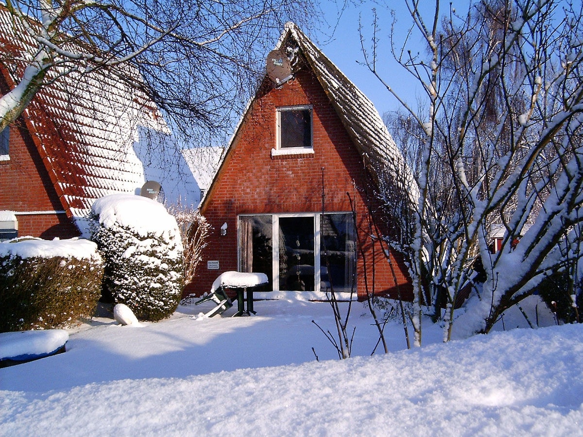 Garten mit Terrasse