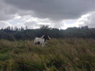 Casa per le vacanze Fjerritslev  20