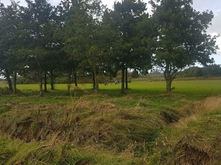 Casa per le vacanze Fjerritslev  22