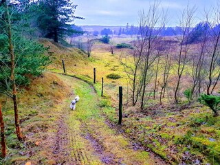 Casa per le vacanze Fjerritslev  23