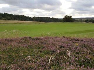 Casa per le vacanze Fjerritslev  36