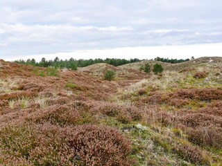 Holiday house Blåvand  3