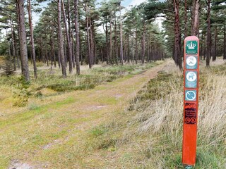 Ferienhaus Blåvand  17