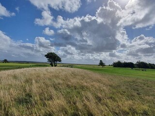Ferienhaus Blåvand  32