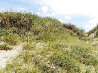 Ferienhaus Thorup Strand  37