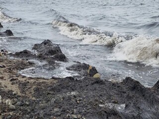 Maison de vacances Rødby  5