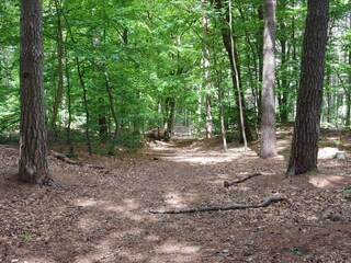 Casa per le vacanze Oksbøl  28