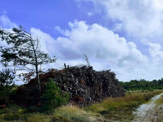 Vakantiehuis Oksbøl  18