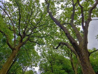 Ferienhaus Oksbøl  23