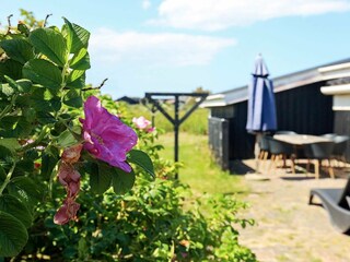 Ferienhaus Løkken  26
