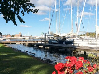 Casa per le vacanze Olpenitz  20