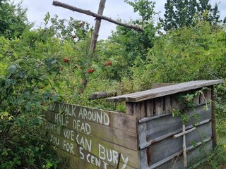 Maison de vacances Kramnitse  32