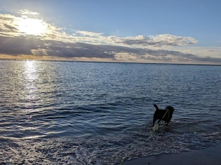 Casa per le vacanze Blåvand  21