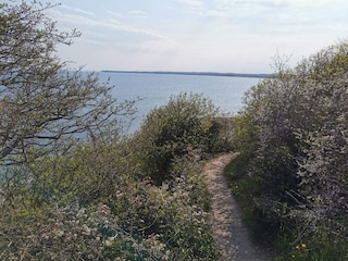 Holiday house Ebeltoft  14