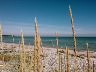 Ferienhaus Ebeltoft  31