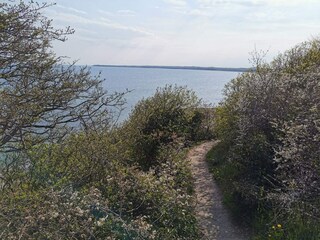 Casa per le vacanze Ebeltoft  38