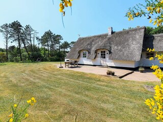 Maison de vacances Søndervig  19