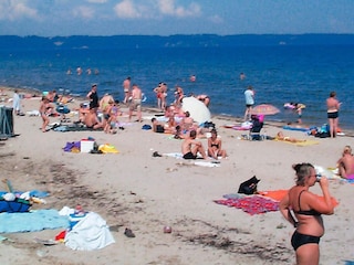 Vakantiehuis Høll  11