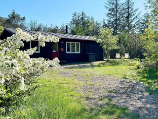 Ferienhaus Aalbæk Außenaufnahme 3