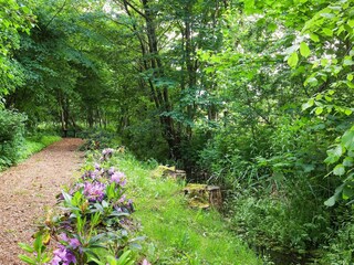Maison de vacances Sundsøre  17