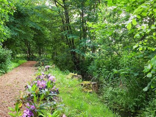 Casa de vacaciones Sundsøre  35