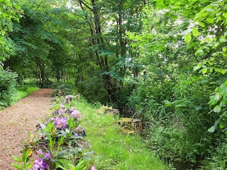 Ferienhaus Sundsøre  6