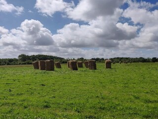 Casa per le vacanze Sundsøre  22