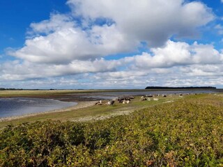 Casa per le vacanze Sundsøre  31