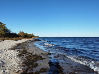 Maison de vacances Marielyst  31