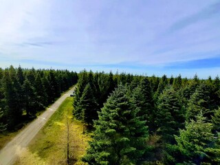 Vakantiehuis Hovborg  18