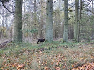 Casa de vacaciones Hovborg  36