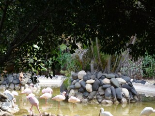 Casa per le vacanze Costa Calma Ambiente 19